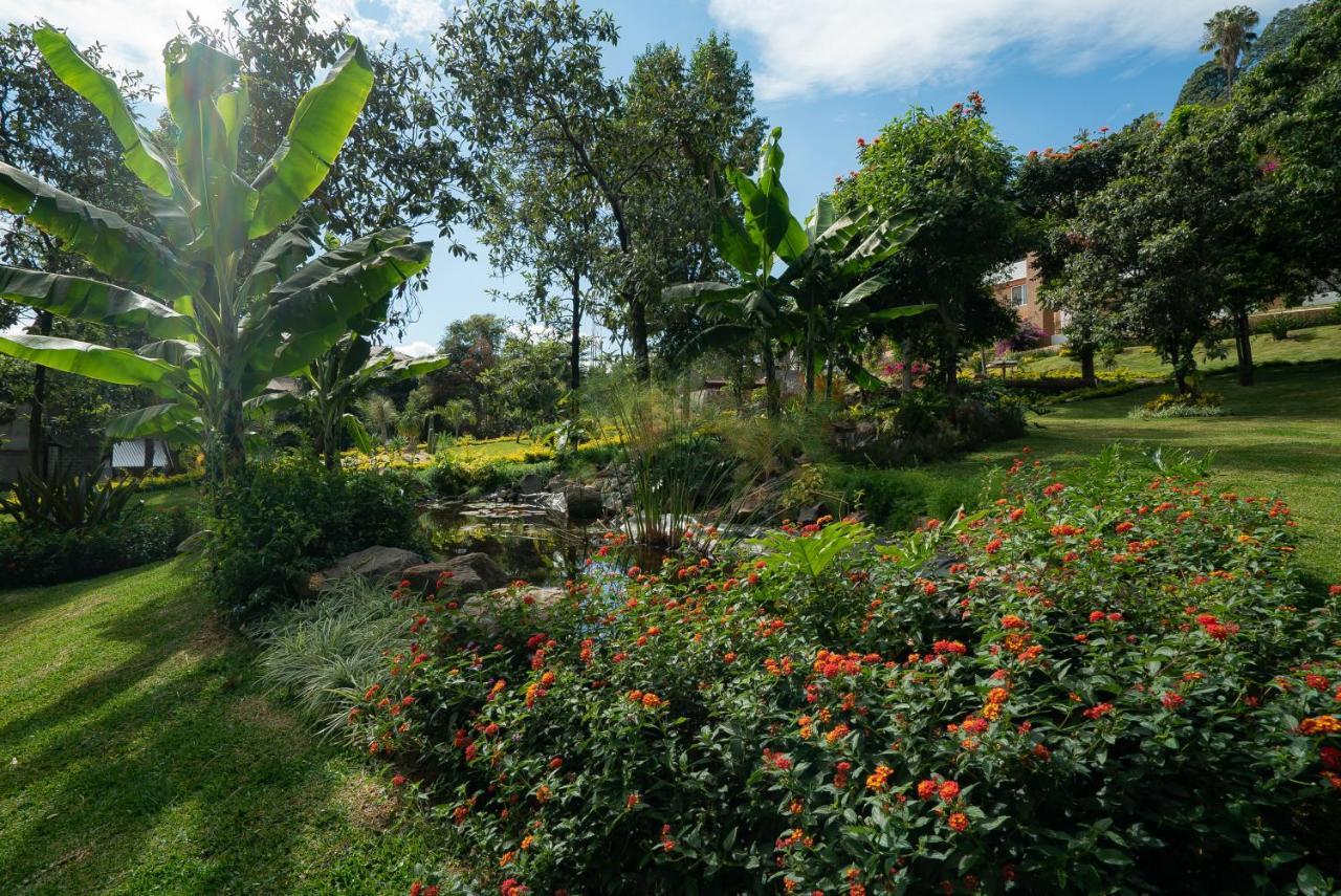 Hotel El Molino By Quinta Sauz Tacambaro de Codallos Bagian luar foto